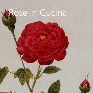 Rose in Cucina