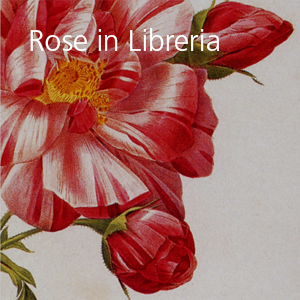 Rose in Libreria